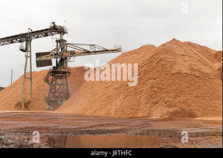 La cartiera di operazioni nel mercato americano del Pacifico del Nord Ovest. Chip di legno pila alimenta il materiale grezzo per il processo di produzione della carta. Foto Stock