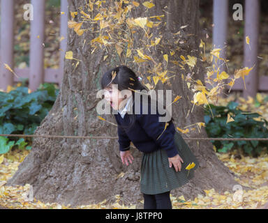 TOKYO, Giappone - NOV 30 : non identificato è turistica godendo con autunno a Aoyama Meiji Jingu Gaien il 30 novembre 2016 a Tokyo, Giappone. Foto Stock