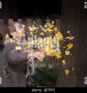 TOKYO, Giappone - NOV 30 : non identificato è turistica godendo con autunno a Aoyama Meiji Jingu Gaien il 30 novembre 2016 a Tokyo, Giappone. Foto Stock