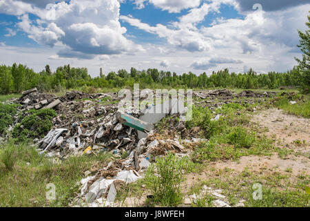 Illegale di dumping di rifiuti al di fuori della foresta in estate Foto Stock