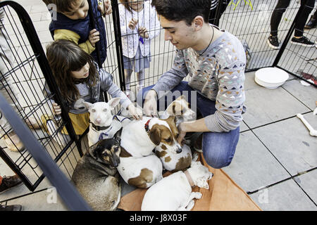 La Rioja, Spagna - 9 Ottobre 2016: civili la protesta della violenza verso i cani di strada, di solidarietà per i diritti degli animali presso il parco nella città di La Rioja, Spa Foto Stock