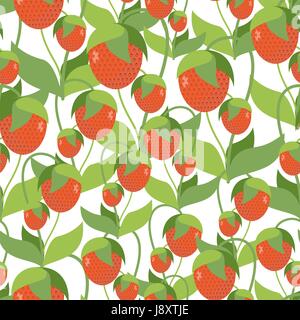 Fruttato texture di fragola. Vector seamless pattern di bacche rosse. Ornamento di tessuto Illustrazione Vettoriale