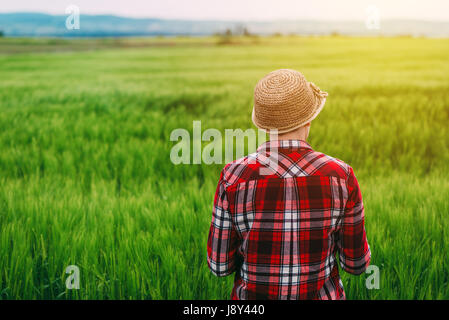 Vista posteriore del contadino femmina in rosso plaid camicia e cappello di paglia in piedi di coltivare colture di frumento e di campo guardando sopra la piantagione Foto Stock