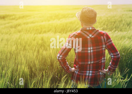 Concetto di agricoltura responsabile, femmina agricoltore nelle colture di cereali campo, donna agronomo guardando oltre il campo di grano all'orizzonte in una giornata di vento e p Foto Stock