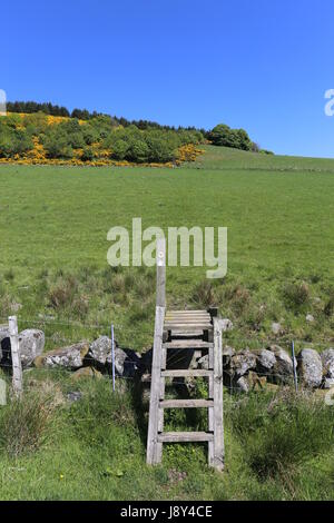 Cateran Trail tra Alyth e Kirkton Of Glenisla Scozia Maggio 2017 Foto Stock