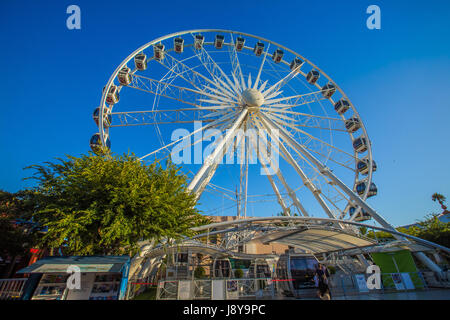 Città del Capo Sud Africa 24 gennaio 2014: il Victoria and Alfred Waterfront è un quartiere commerciale e residenziale zona turistica situata nella tabella Foto Stock