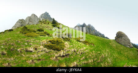 Vista panoramica del monte Ciucas sulla molla, parte della gamma dei Carpazi della Romania Foto Stock