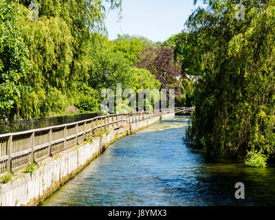 Nel centro di Winchester, Hampshire il fiume Itchen sotto Town Mill fluisce attraverso una bella passeggiata lungo il fiume e il parco noto come gli sbarramenti Foto Stock