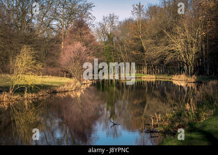 Leeds a Liverpool Canal nel periodo invernale. Foto Stock