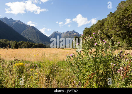 Vista su tutta la valle di eglinton dal milford autostrada, Parco Nazionale di Fiordland, Isola del Sud della Nuova Zelanda Foto Stock