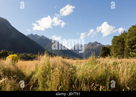 Vista su tutta la valle di eglinton dal milford autostrada, Parco Nazionale di Fiordland, Isola del Sud della Nuova Zelanda Foto Stock