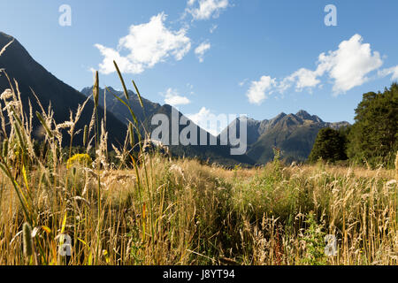 Vista su tutta la valle di eglinton dal milford autostrada, Parco Nazionale di Fiordland, Isola del Sud della Nuova Zelanda Foto Stock