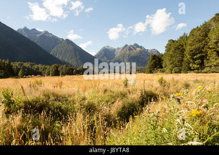 Vista su tutta la valle di eglinton dal milford autostrada, Parco Nazionale di Fiordland, Isola del Sud della Nuova Zelanda Foto Stock