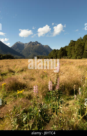 Vista su tutta la valle di eglinton dal milford autostrada, Parco Nazionale di Fiordland, Isola del Sud della Nuova Zelanda Foto Stock