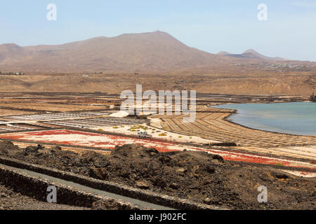 Sale Lanzarote appartamenti - Lanzarote paesaggi; sale di lavoro funziona a Salinas de janubio sulla costa ovest, Lanzarote, Isole Canarie, Europa Foto Stock