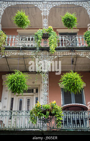 Vegetazione lussureggiante decorare il ferro battuto Dettagli filigrana di un tipico balcone di una doppia galleria di Palazzo nel Quartiere Francese di New Orleans Foto Stock