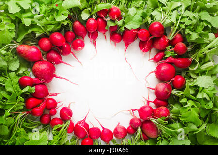 Abbondanza di radicchio rosso su sfondo bianco con copia spazio nel centro Foto Stock