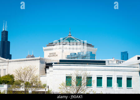 Chicago Illinois vicino al lato sud Grant Park Shedd Aquarium blue sky esterno costruito 1930 Foto Stock