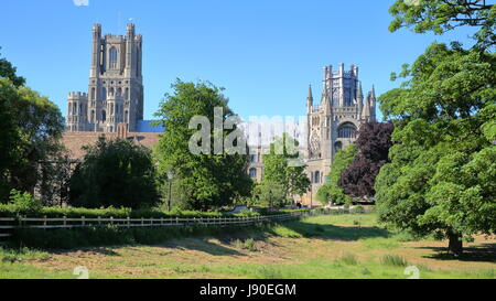 Vista della cattedrale di Cherry Hill Park a Ely, Cambridgeshire, Norfolk, Regno Unito Foto Stock