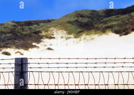Spiaggia Carmel California USA Foto Stock