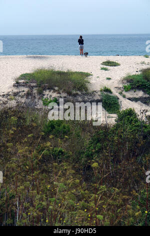 La donna a piedi sulla Spiaggia Carmel California USA Foto Stock