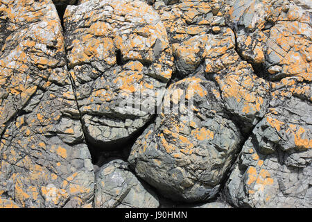 Cuscino basaltiche sulla lava Llanddwyn Island, Anglesey Foto Stock