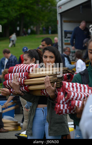 Massachusetts, STATI UNITI D'AMERICA. Il 30 maggio 2017. Volontari su Boston Common raccogliere le bandiere il giorno dopo giorno memoriale per l'organizzazione Massachusetts eroi militari fondo. Ogni anno 37.000 flag vengono poste in onore di coloro che hanno sacrificato la loro vita nel servizio militare poiché la guerra rivoluzionaria di 1776. Credito: Kenneth Martin/ZUMA filo/Alamy Live News Foto Stock