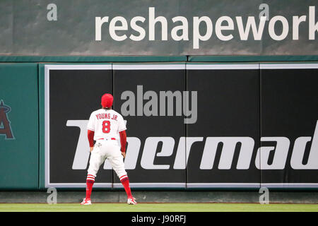 Los Angeles, California, USA. Il 30 maggio 2017. 30 maggio 2017: Los Angeles Angeli sinistra fielder Eric Young Jr. #8 orologi homer da Atlanta Braves sinistra fielder Matt Kemp #27 vela amore al centro della parete del campo nel gioco tra il Atlanta Braves e Los Angeles gli angeli di Anaheim, Angel Stadium di Anaheim, CA, fotografo: Pietro Joneleit Credito: Cal Sport Media/Alamy Live News Foto Stock