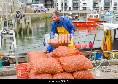 West Bay, Dorset, Regno Unito. Il 31 maggio 2017. Regno Unito Meteo. Un pescatore di sbarco del pesce della shell alla stazione balneare di West Bay nel Dorset su un caldo ma nuvoloso giorno. Photo credit: Graham Hunt/Alamy Live News Foto Stock