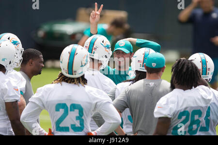 Davie, Florida, Stati Uniti d'America. 31 Maggio, 2017. Delfini di Miami head coach Adam Gase presso i delfini training facility in Davie, Florida il 31 maggio 2017. Credito: Allen Eyestone/Palm Beach post/ZUMA filo/Alamy Live News Foto Stock