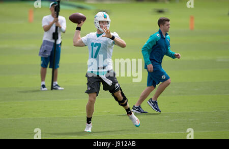 Davie, Florida, Stati Uniti d'America. 31 Maggio, 2017. Miami Dolphins quarterback Ryan Tannehill (17) presso i delfini training facility in Davie, Florida il 31 maggio 2017. Credito: Allen Eyestone/Palm Beach post/ZUMA filo/Alamy Live News Foto Stock