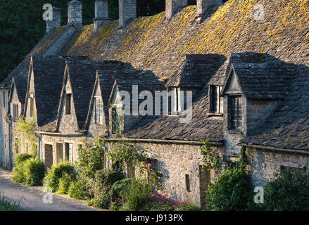 La mattina presto luce solare su Arlington Row. Bibury, Cotswolds, Gloucestershire, Inghilterra Foto Stock