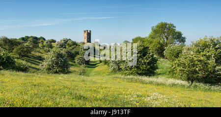 Torre di Broadway e biancospino / mayblossom in primavera lungo il cotswold modo. Broadway, Cotswolds, Worcestershire, Inghilterra. Vista panoramica Foto Stock