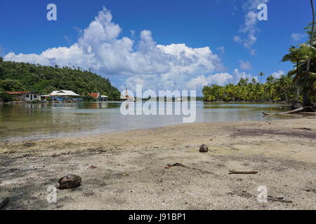 Sulla riva di un canale naturale tra il mare e il lago Fauna Nui vicino al piccolo villaggio di Maeva, Polinesia francese, Huahine isola, Sud Pacifico Foto Stock