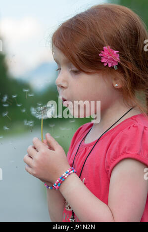 Capelli rossi bambino femmina soffia su un fiore (Taraxacum) con semi di colore bianco Foto Stock