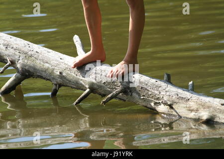 Close up della persona piedi morti sul tronco di albero sul lago di riva Foto Stock