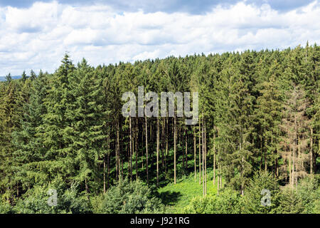 Bordo della foresta vicino a bouillon nelle Ardenne belghe Foto Stock