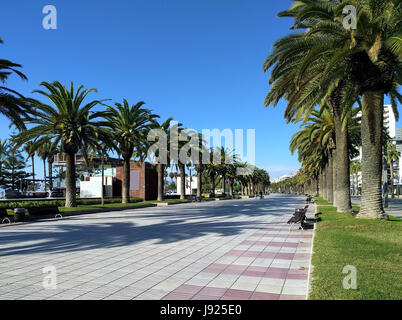 Palme rivestite lungomare di Salou, provincia di Tarragona, in Catalogna. Spagna Foto Stock