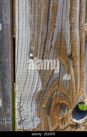 Close up shot verticale di weathered marrone e grigio scheda di recinzione sfondo con un nodo in esso Foto Stock