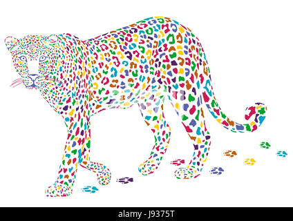 Più colorata leopard Foto Stock
