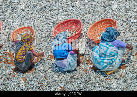 I pescatori e barche in legno in vista del mare dal ponte Pamban, Rameshwaram Foto Stock