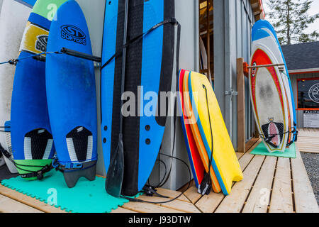 Tavole da surf, Tofino, British Columbia, Canada. Foto Stock