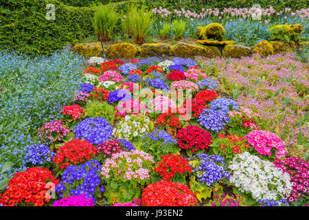 Butchart Gardens, Brentwood Bay, Greater Victoria, Isola di Vancouver, British Columbia, Canada. Foto Stock