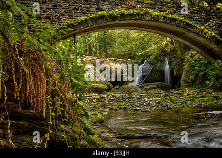 La funziona Amministrazione progresso-ponte costruito presso la Whatcom Falls Park in Bellingham, Washington Foto Stock