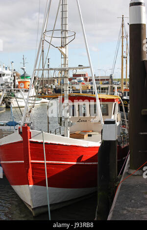 Pesci, pesca, pesci, pesca a bassa marea, nave da pesca, le catture, blu, cibo, Foto Stock