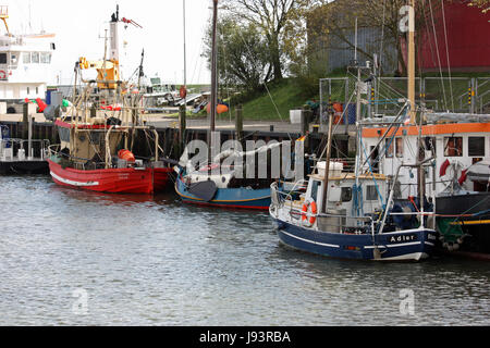 Pesci, pesca, pesci, pesca a bassa marea, nave da pesca, le catture, blu, cibo, Foto Stock