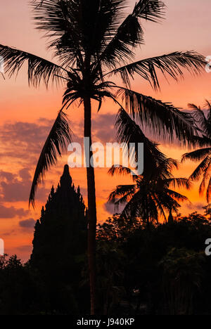 Tramonto colorato con silhouette del tempio di Prambanan e Palm tree Foto Stock