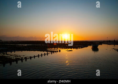 Fattoria di alghe in campo sunet, in Nusa Lembongan, Indonesia Foto Stock