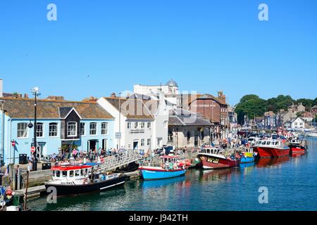 Vista in elevazione delle attività di pesca i pescherecci con reti da traino nel porto e quayside edifici, Weymouth Dorset, Inghilterra, Regno Unito, Europa occidentale. Foto Stock