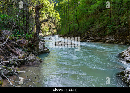 Fiume di montagna che scorre tra le coste di pietra Foto Stock